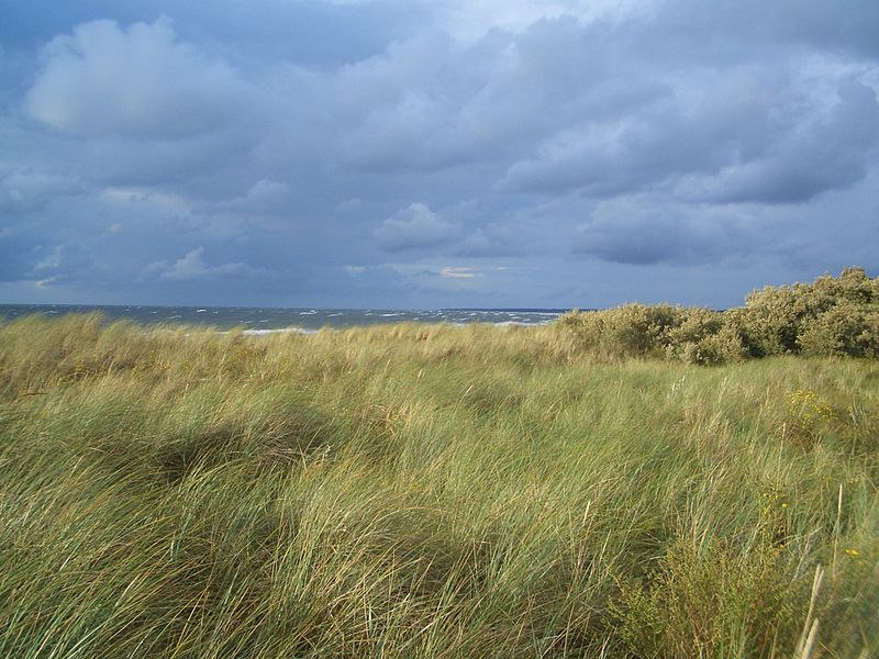 File:The summer sky of Femø.JPG