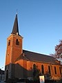 De Sint-Pieterskerk (Église Saint-Pierre).