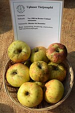 Tietjenapfel.jpg