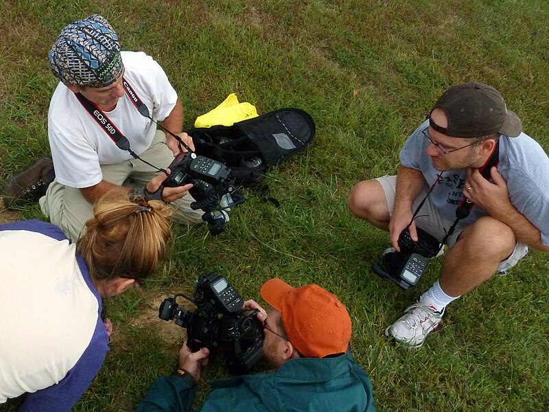 File:Tiger Beetle Shoot - Flickr - treegrow.jpg