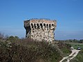 Torre Beccati Questo