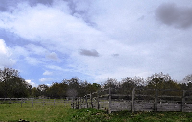 File:Totteredige Croft Field.jpg