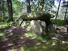 Tredion - la Loge-au-Loup (1) .JPG