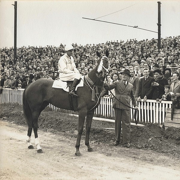 File:Tranquil Star 1946 Olympic Park Melbourne Farewell Jockey Scobie Breasley Trainer Ron Cameron.jpg