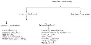 English: Ayurvedic Treatment Procedures