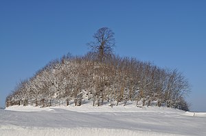 Rangschikking: 6, Gebruiker:Gp2mv3, foto 5199, beschrijving: Tumulus de Glimes en hiver.jpg