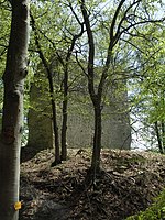 Burgruine Alter Turm Aach