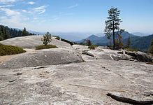 United States - California - Sequoia National Park - 02.jpg