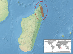 Uroplatus giganteus distribution.png