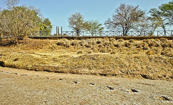 Fossilised tracks in the Valley of the Dinosaurs, Paraíba