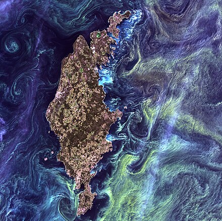 Satellite image of phytoplankton swirling around the Swedish island of Gotland in the Baltic Sea, in 2005
