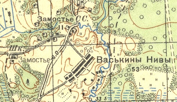 План деревни Васькины Нивы. 1937 год