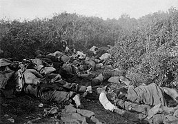 Vido fév 1916 serbes abandonnés dans les broussailles.jpg