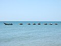 Vietnamese fishing coracles.