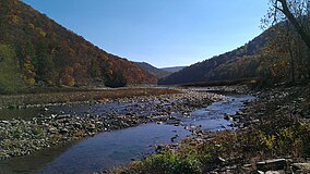 View of Savage River.jpg