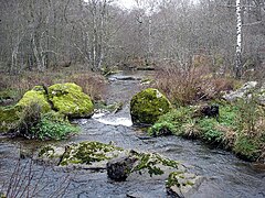 Vioulou stream, Aveyron