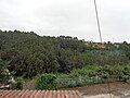 Vistas de Cudillero (Asturias) 02.jpg