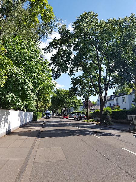 File:Vogelsanger Weg.jpg