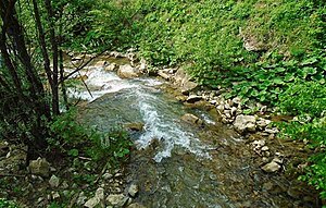 River Vrbanja