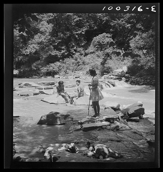 File:Wading in Rock Creek Park8c34854v.jpg