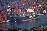 Containerschiff "Hanjin Blueocean"