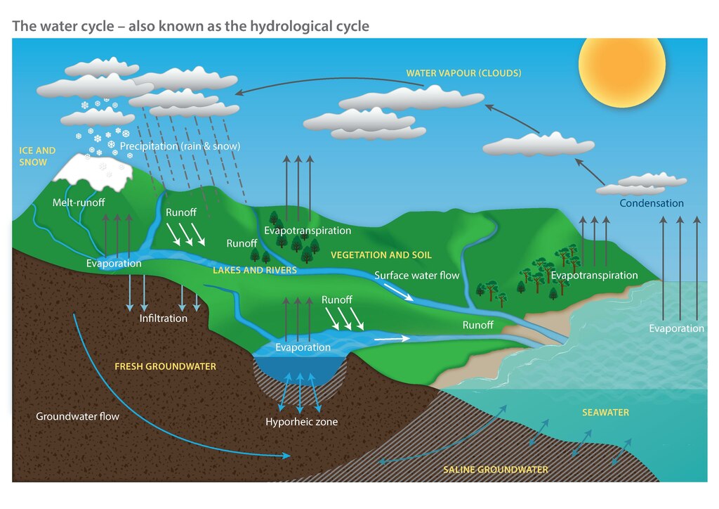 Water Cycle Wonders | Practical Pages