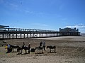 The pier and pavilion pictured from the north