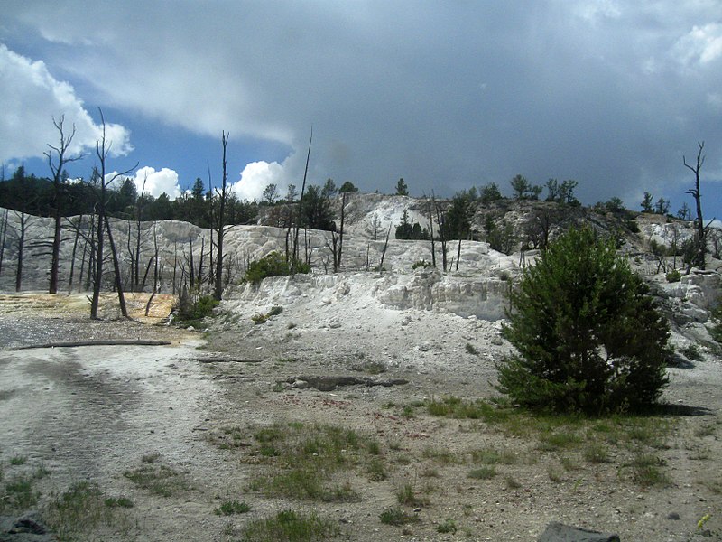 File:White Elephant Back Terrace on Upper Terrace Drive at Mammoth Hot Springs DyeClan.com - panoramio.jpg