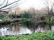 Wildlife in Fairy Dell - geograph.org.uk - 1596806.jpg