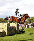 Thumbnail for William Fox-Pitt