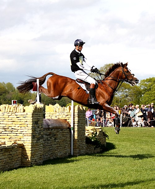 William Fox-Pitt and Chilli Morning, Badminton Horse Trials, 2015