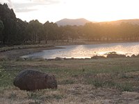 A wombat enjoying the sunset, Stranger Pond, 2007