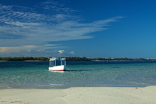 <span class="mw-page-title-main">Mombasa Marine National Park and Reserve</span> Kenyan game park