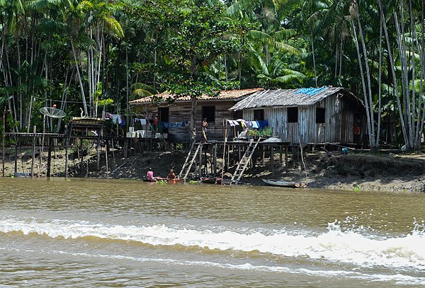 Houses of ribeirinhos in the state of Pará.