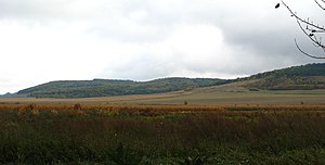 Північно-західні відноги Вороняків