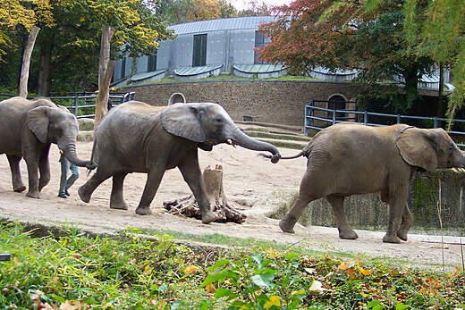 Зоо. Wuppertal Zoo Вупперталь. Zoo. Достопримечательности the National Zoo. Zoo enter.