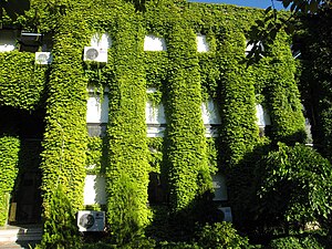 Universidade Técnica de Yıldız