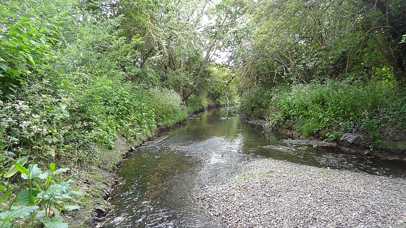 File:Yeading Brook in Yeading Brook Meadows 3.JPG