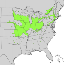 Zanthoxylum americanum range map.png
