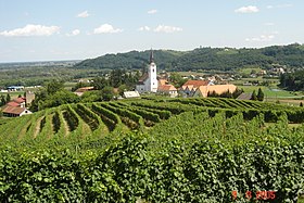 Panorama Zavrča