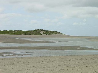 Zwin Nature reserve and former tidal inlet on the North Sea coast of the Belgian-Dutch border