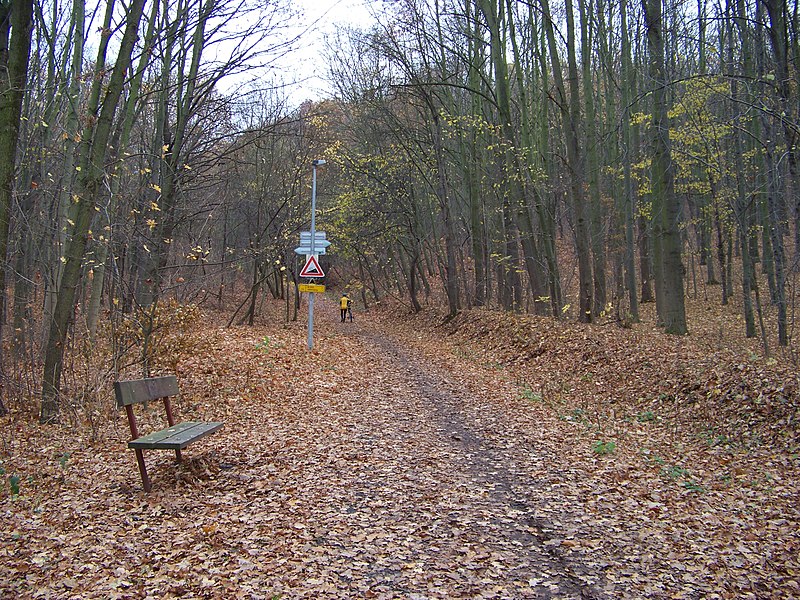 File:Šárka, cesta ze Šáreckého údolí ke Zlatnici.jpg