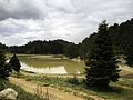 Lake Dasios (Dasiou) in June