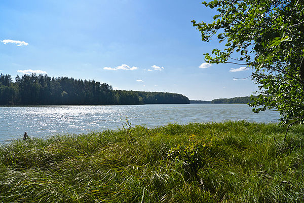 Lake Visha, Central Federal District