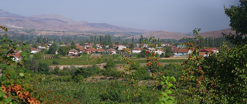 File:Панорама на Возарци.jpg