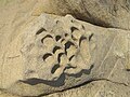 Каміння на пляжі Каріді, Сітонія, Халкідіки, Греція
