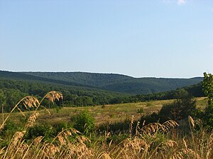 Продам краснодарском крае. Станица Северская Краснодарский край. Северский район станица Северская. Поселок Октябрьский Северский район Краснодарский край. Поселок Северский Краснодарский край.