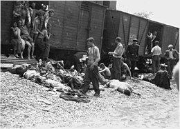 Holocaust: De term Holocaust, Aantal slachtoffers, Achtergrond
