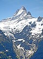 Schreckhorn, gesehen von Grindelwald