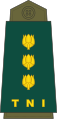 18-TNI Army-COL.svg
